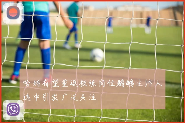 哈姆有望重返教练岗位鹈鹕主帅人选中引发广泛关注