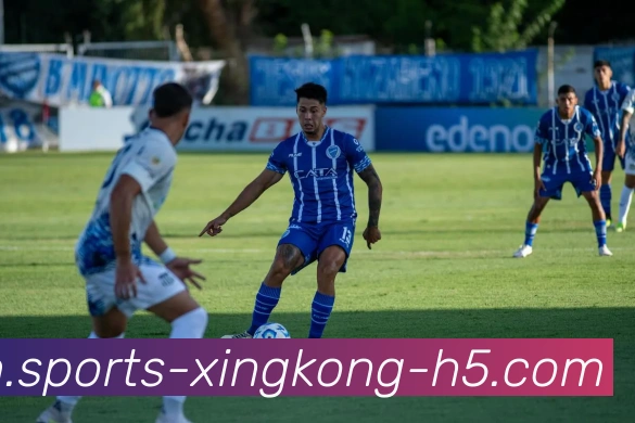 星空体育平台生态图